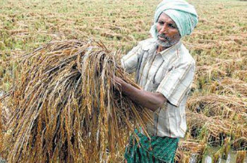 Photo of तेलंगाना: किसान चुकाते हैं सहकारी ऋण, रसूखदार नहीं