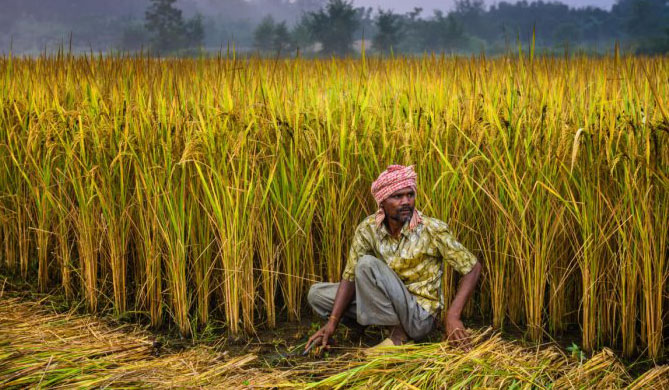 Photo of पीएम किसान के लिए कौन योग्य है; सरकार ने बताया