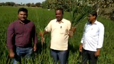 Photo of वारंगल का किसान हुआ इफको नैनो खाद के परिणाम से उत्साहित