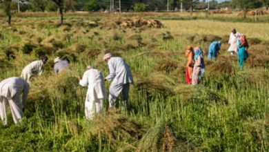 Photo of ऋण-अदायगी में किसानों की मदद करेगी सरकार