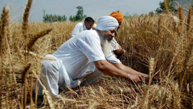 Photo of पंजाब में किसानों को कर्ज देगा पैक्स