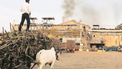 Photo of महाराष्ट्र चीनी मिल एमएसपी में चहाती हैं वृद्धि