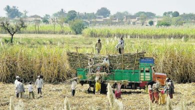 Photo of जोरदार चीनी उत्पादन लेकिन और पैसे की है कमी