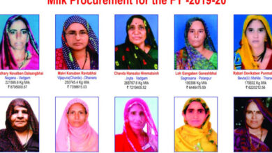 Photo of सोढ़ी ने दस लखपति महिलाओं की सूची जारी की