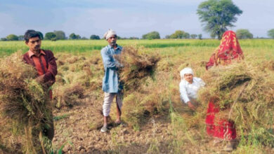 Photo of मप्र में बिचौलिए मार रहे हैं किसानों का हक