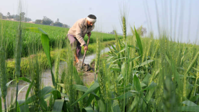 Photo of उर्वरक धोखाधड़ी में मोगा को-ऑप विभाग का नाम