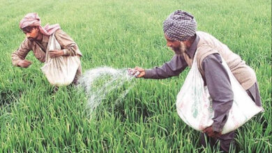 Photo of किसानों को डीएपी का एक बैग 2400 रुपये के बजाय अब 1200 रुपये में मिलेगा