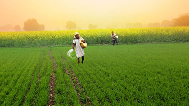 Photo of महाराष्ट्र सरकार का अपना कृषि कानून बनाने पर विचार-मंथन