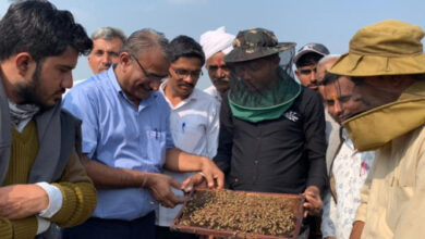 Photo of एनडीडीबी ने गुजरात में मधुमक्खी पालन पर दिया प्रशिक्षण