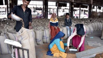 Photo of गुजकोमासोल ने चना खरीद में बनाया नया रिकॉर्ड