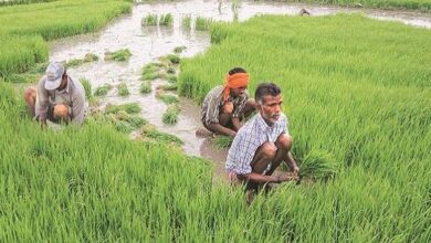 Photo of छत्तीसगढ़: डीसीसीबी किसानों को देंगे ब्याज मुक्त ऋण