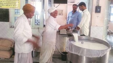 Photo of जीसीएमएमएफ खरीदेगी तमिलनाडु से दूध