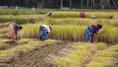 Photo of कोयंबटूर: सहकारी स्टोर के मुकाबले निजी दुकानों में उर्वरक है सस्ता?