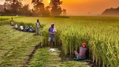 Photo of कम्प्यूटरीकरण: 51 हजार पैक्स शामिल, 68 हजार को स्वीकृति पत्र
