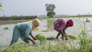 Photo of धार सहकारी समितियों ने किसानों से खाद जल्दी लेने को कहा