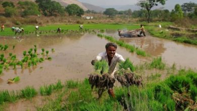Photo of ई-नाम पर 1.79 करोड़ से ज़्यादा किसान पंजीकृत