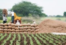 Photo of इन्फ्रा फंड ने बड़े पैमाने पर कृषि निवेश को दिया बढ़ावा
