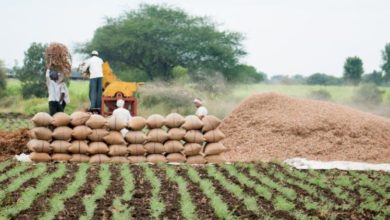 Photo of इन्फ्रा फंड ने बड़े पैमाने पर कृषि निवेश को दिया बढ़ावा