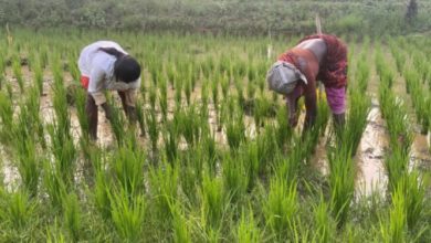 Photo of 25,000 सहकारी समितियाँ बीबीएसएसएल का हिस्सा