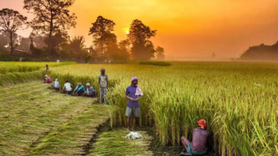 Photo of बीबीएसएसएल से 1,40,000 किसान लाभान्वित