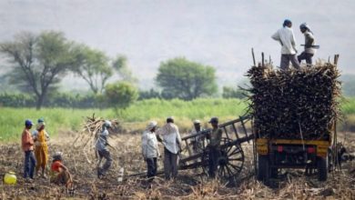 Photo of पैक्स कंप्यूटरीकरण में महाराष्ट्र अव्वल, लद्दाख सबसे पीछे