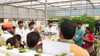 Photo of भावना के एफपीओ की सफलता से प्रधानमंत्री हुए प्रभावित
