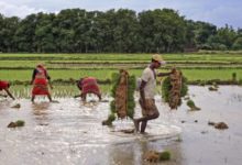 Photo of बर्ड बैठक में कृषि ऋण में सहकारी बैंकों की हिस्सेदारी बढ़ाने का रोडमैप तय