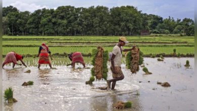 Photo of बर्ड बैठक में कृषि ऋण में सहकारी बैंकों की हिस्सेदारी बढ़ाने का रोडमैप तय