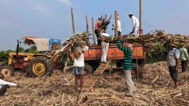 Photo of महाराष्ट्र सरकार ने बेहतर प्रदर्शन वाली चीनी मिलों को प्रोत्साहन देने की घोषणा की
