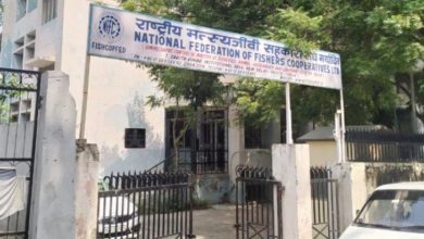 Photo of ट्रिब्यूनल ने फिशकॉफेड बोर्ड को किया निलंबित, प्रशासक नियुक्त करने के आदेश