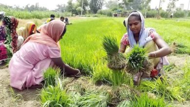 Photo of मंत्री ने झांसी में पैक्स की स्थिति का दिया ब्यौरा