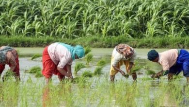 Photo of कृषि इन्फ्रा कोष बढ़कर हुआ 2 लाख करोड़ रुपये
