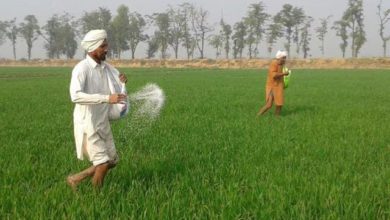 Photo of खरीफ 2026 के लिए उर्वरक सब्सिडी में वृद्धि का ऐलान