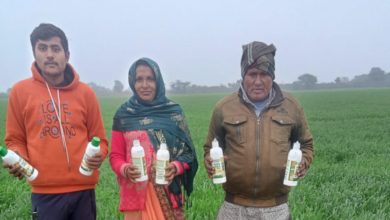 Photo of ओडिशा के 29.5 लाख किसानों को मिला नैनो उर्वरकों का लाभ: राज्य मंत्री